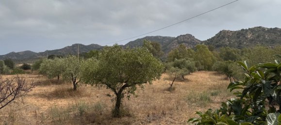 5 chambres Maison à Siniscola, Italy No. 331161 32