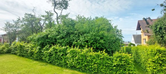 Land in Rhein-Sieg, Germany No. 128887 5