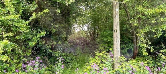 Land in Rhein-Sieg, Germany No. 128887 4