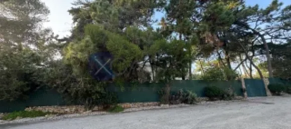 6 bedrooms House in Cascais, Portugal No. 113010 21