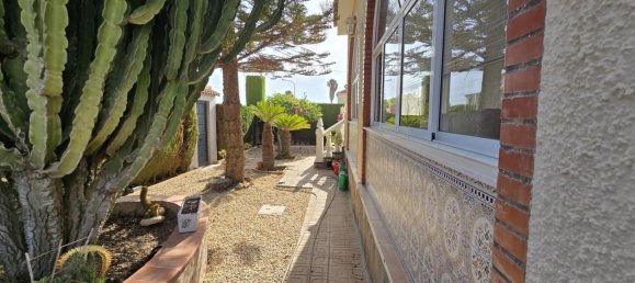 3 غرف نوم منزل في Torrevieja, Spain رقم 188319 23