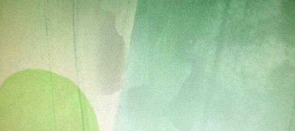 19270m² Land in Weikendorf, Austria No. 164166 4