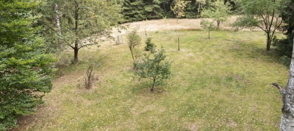 7 rooms House in Hof, Germany No. 289025 11