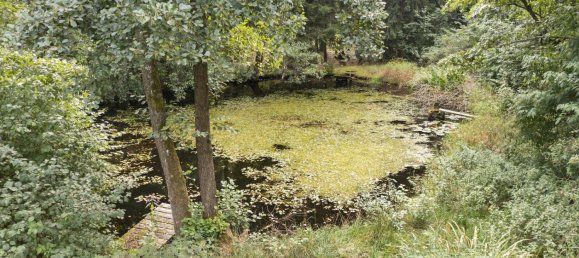 7 rooms House in Hof, Germany No. 289025 12