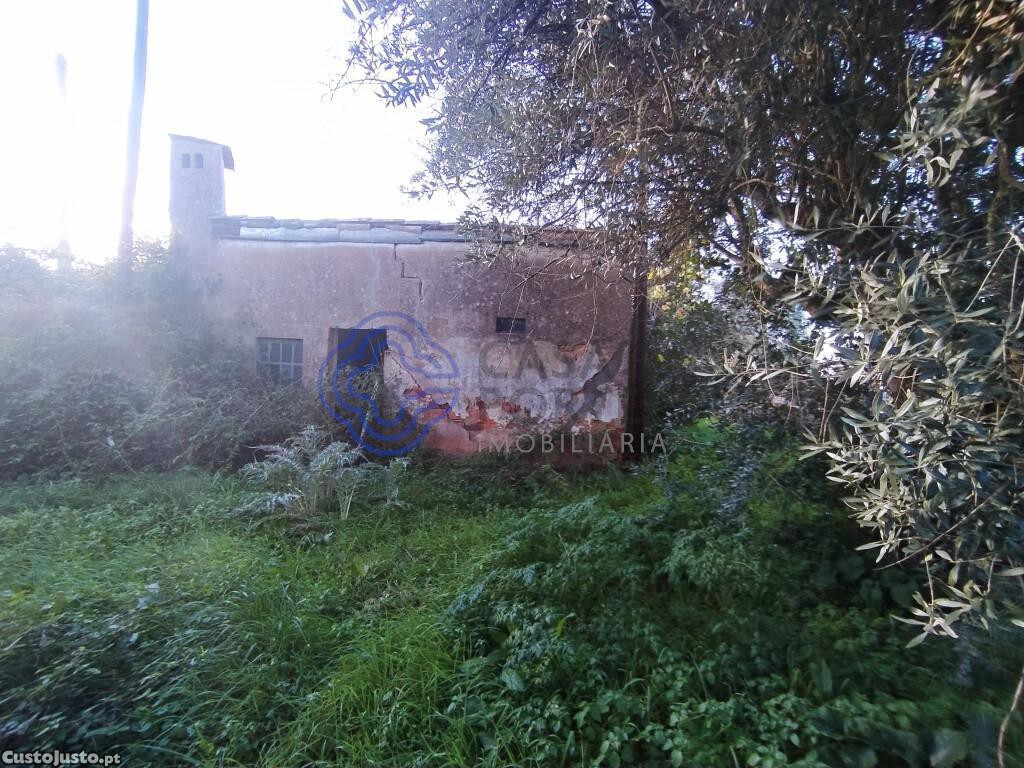 3 Schlafzimmer Haus in Torres Novas, Portugal, Nr. 14538