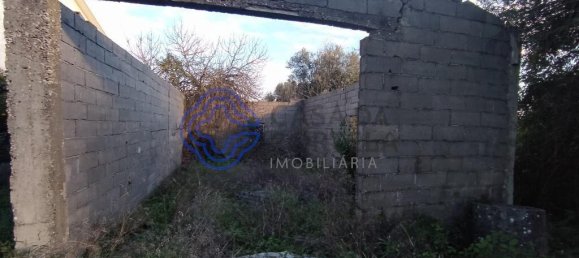 3 Schlafzimmer Haus in Torres Novas, Portugal, Nr. 14538 5