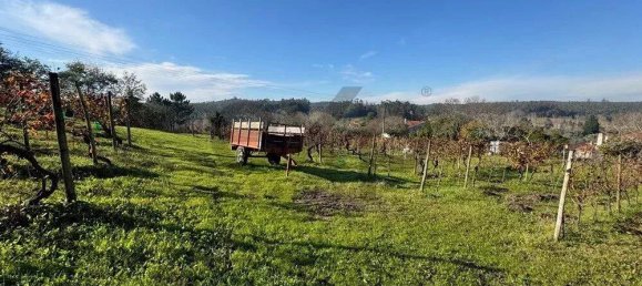 1490m² Land in Coimbra, Portugal No. 281488 2