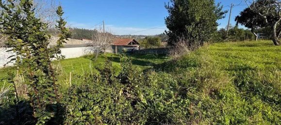 1490m² Land in Coimbra, Portugal No. 281488 4