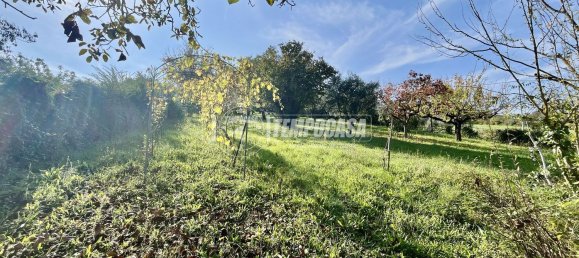 Вилла с 6 комнатами в Спольторе, Италия № 210449 12