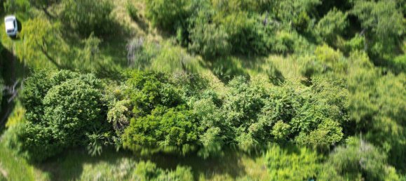 Terrain à Rems-Murr-Kreis, Germany No. 232562 3