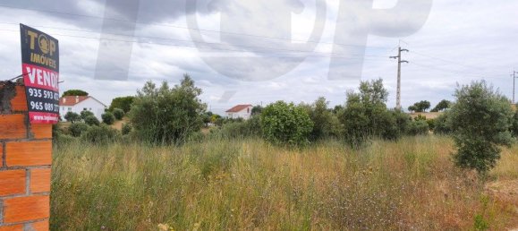  قطعة أرض في Tomar, Portugal 57000متر مربع رقم 205646 2