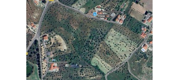  قطعة أرض في Tomar, Portugal 57000متر مربع رقم 205646 3