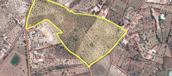  قطعة أرض في Tomar, Portugal 57000متر مربع رقم 205646 4