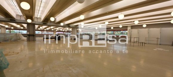 Коммерческая недвижимость с 5 комнатами в Вогера, Италия № 112911 10