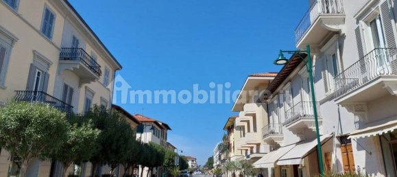 4 bedrooms Villa in Forte dei Marmi, Italy No. 194171 42