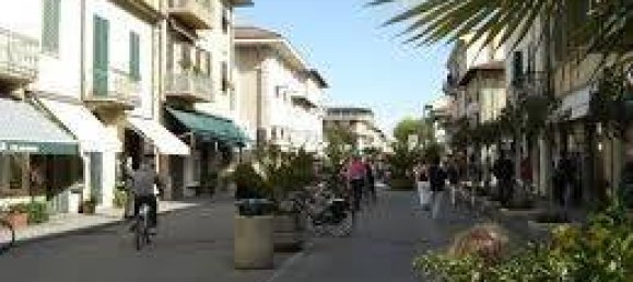 4 bedrooms Villa in Forte dei Marmi, Italy No. 194171 26