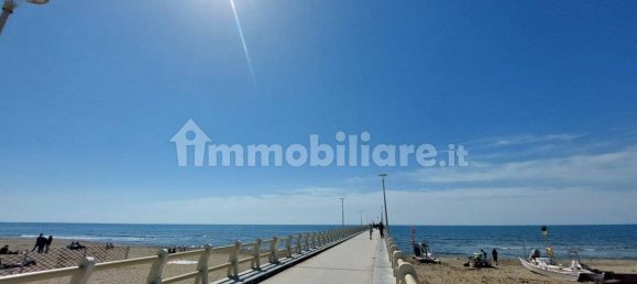 4 bedrooms Villa in Forte dei Marmi, Italy No. 194171 37
