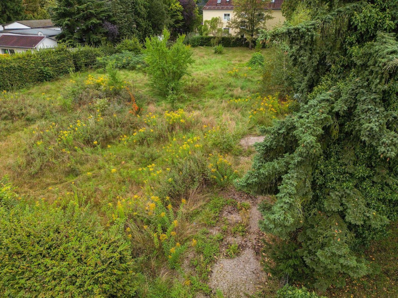 Terreno en Dresden, Germany No. 311181