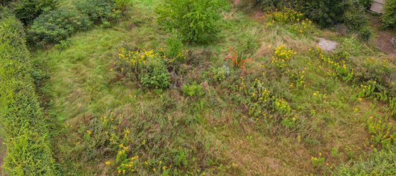 Terreno en Dresden, Germany No. 311181 3