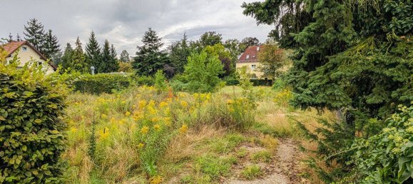 Terreno en Dresden, Germany No. 311181 4