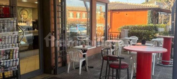 Коммерческая недвижимость с 2 комнатами в Кастель Гандольфо, Италия № 83373 6