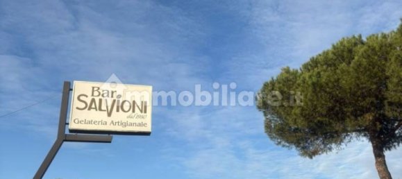 Коммерческая недвижимость с 2 комнатами в Кастель Гандольфо, Италия № 83373 8