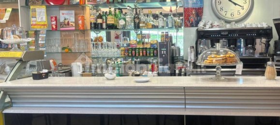 Коммерческая недвижимость с 2 комнатами в Кастель Гандольфо, Италия № 83373 2