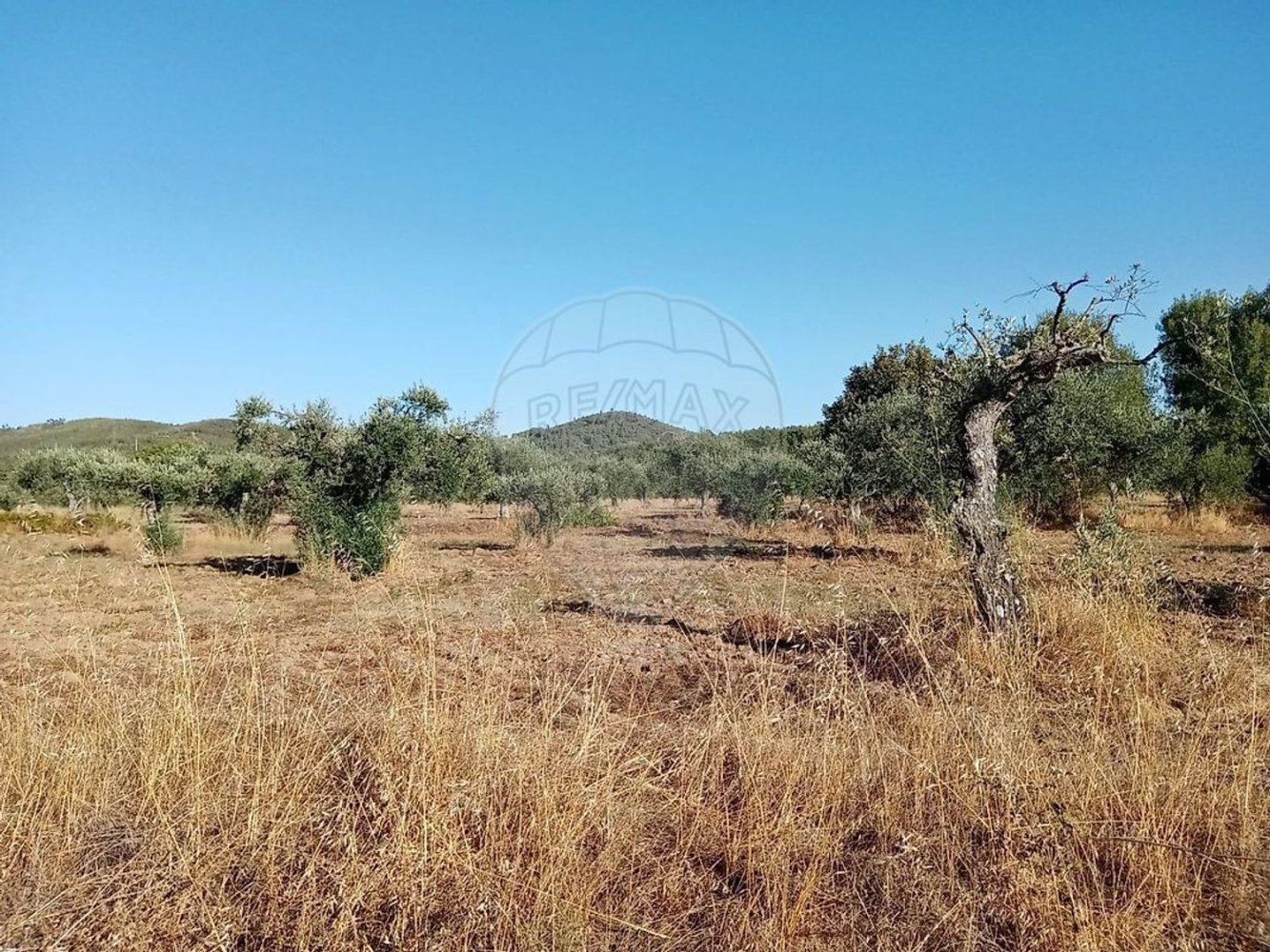 Grundstück in Vale da Senhora da Povoa, Portugal, Nr. 218315