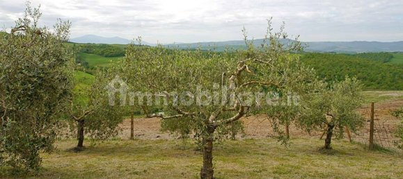 3 bedrooms Villa in Montalcino, Italy No. 166694 7