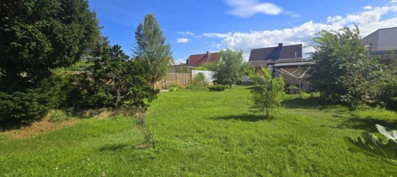 Casa de 4 habitaciónes en Leobersdorf, Austria No. 197384 4