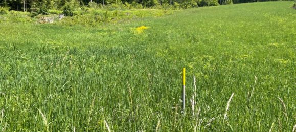 Terrain à Finkenstein am Faaker See, Austria No. 132074 4