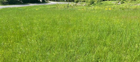 Terrain à Finkenstein am Faaker See, Austria No. 132074 3