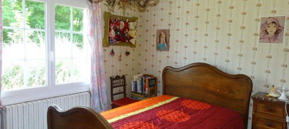 4 غرف نوم منزل في Beaulieu-sur-Loire, France رقم 157799 10