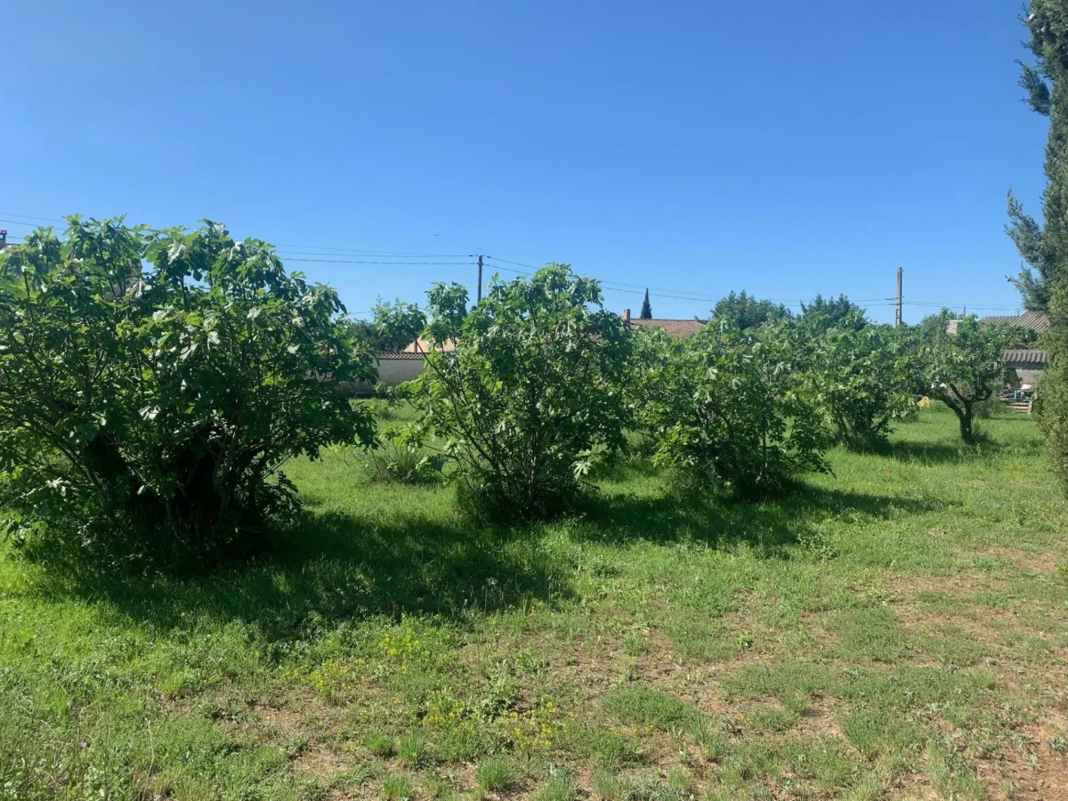 700m² Land in Aubignan, France No. 60961