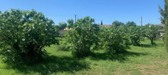 700m² Land in Aubignan, France No. 60961 2