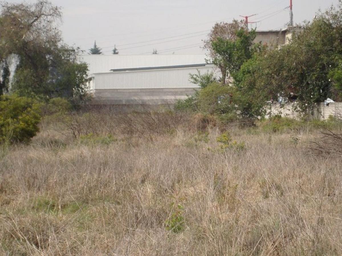  Land in Mexico No. 205358