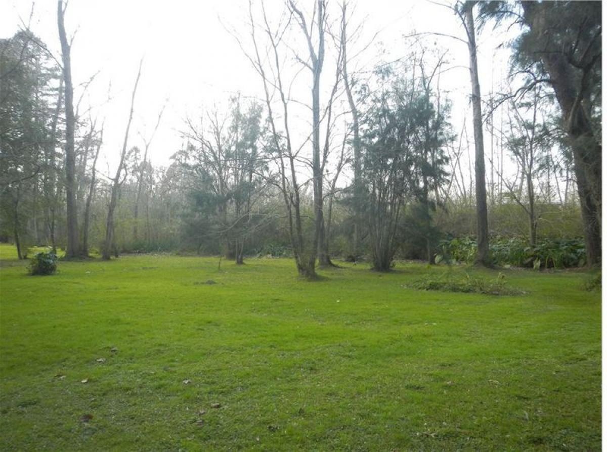  Land in Tigre, Argentina No. 122125