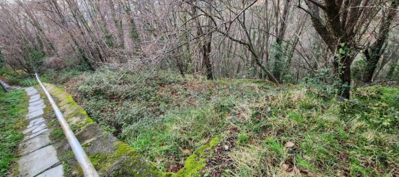 3500m² Land in Lavagna, Italy No. 337444 6