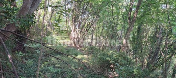 3500m² Land in Lavagna, Italy No. 337444 4