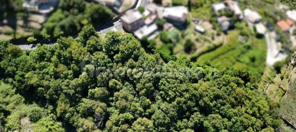 3500m² Land in Lavagna, Italy No. 337444 7