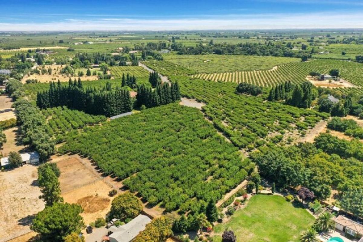  Land in Stockton, USA No. 492464