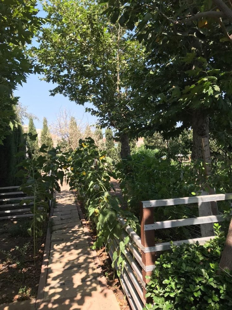 6 chambres Villa à Sabunchu, Azerbaijan No. 1194