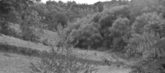 10غرفة شقة في Amandola, Italy رقم 286251 14