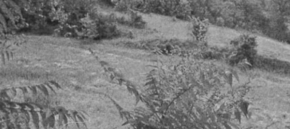 10غرفة شقة في Amandola, Italy رقم 286251 13