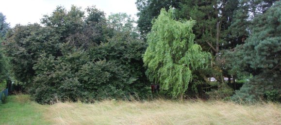 5غرفة منزل في Nordsachsen, Germany رقم 248069 5