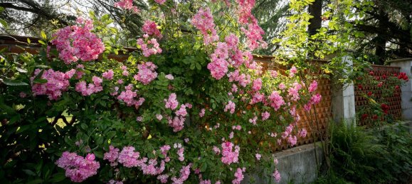 10 bedrooms Villa in Lanzo Torinese, Italy No. 363573 10