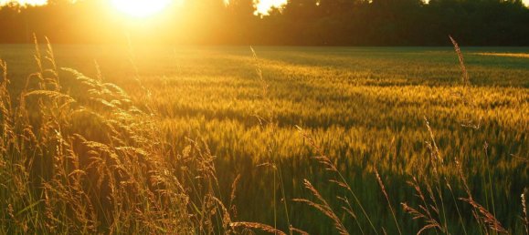 3 Schlafzimmer Haus in Lipsheim, France, Nr. 256682 6