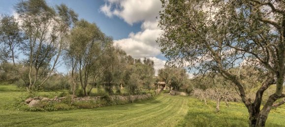 5 bedrooms House in Sineu, Spain No. 143764 20