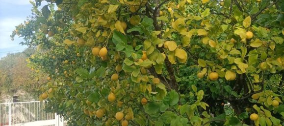 5 chambres Maison à Rodi Garganico, Italy No. 378067 14