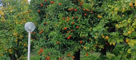 5 chambres Maison à Rodi Garganico, Italy No. 378067 12